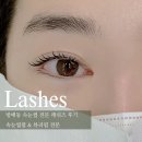 래쉬즈 | 방배역 속눈썹 래쉬즈, 속눈썹펌 유지기간 가격 후기
