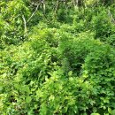 산덕농장 이미지