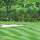 엘리시안 제주 골프연습장 이미지