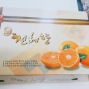 춘심농장 | 제주도 춘심이네오메기떡, 참이맛농장 천혜향 후기