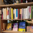 행운동-23 | [서울] 관악구 감성카페 오블라토 oblato 방문 후기