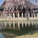 경회루 - 동구 중앙대로180번길 6-13 | 경회루