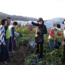 병을농장 이미지