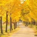 서울목장 이미지