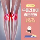 무릎관절에 좋은운동 이미지