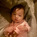 내원어린이집 | 황마스 D+415. 이유식238일째 유아식30일째. 어린이집 네번째날. 마스는 여전히 설사. 마스맘 셀프 회복...