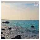 1049 | 제주 항공권 예매 땡처리 특가 비행기표 가격 대한항공 KE1049