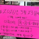 호수로 간 고양이 네이버블로그