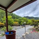 백년펜션 | 영월 계곡 애견동반 캠핑장 - 백년펜션&amp;캠핑장, 물이 너무나도 맑은 법흥계곡