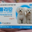 여울케이스 | 강아지 심장사상충약 및 내외부 기생충 구제제 '폴리캅' 우리 여울이 사용 후기