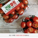 달콤한 스테비아토마토 500g 2팩 6980원(무배) 롯데카드 필수‼️ 이미지