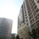 용산-현장-677 이미지