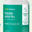 네이처코퍼레이션 이미지