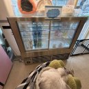 삼멍이네 간식공장 | [인천/숭의]인천 애견 수제 간식 멍이네 이야기