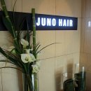 [내조의여왕 #1 이벤트] 대치동 준오헤어 동원쌤 / 헤어시술 이벤트
