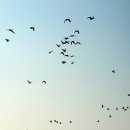 동주농장 이미지