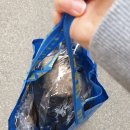 사거리세탁소 이미지