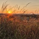 인천여성가족재단3 이미지