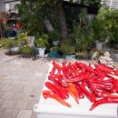 용산-163 이미지