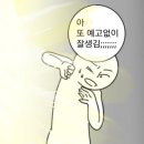 애플팩트 이미지