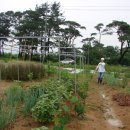 도영 농장 이미지