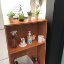 바디나믹 이미지