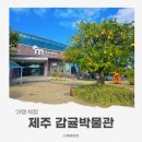 감귤박물관 | 제주서귀포감귤박물관 감귤따기체험 후기｜아이와 함께 둘러본 전시와 체험