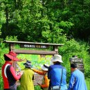 대전산성구비九飛 2城團 탐사(적오산성) 이미지