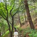 2026년 2월 당신의 영혼이 춤추는 시간. 춤치유영성수련 초대(치유상담연구원). 흰바람 박선영. 5원소리듬, 진정한움직임. 이미지