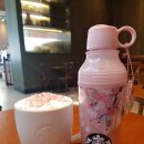 체리블러썸 이미지