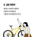 용인대 드림유도체육관 이미지