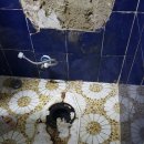 대명설비 이미지