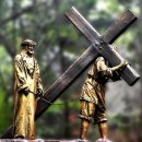 성경목장 이미지