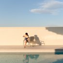 사시산색 이미지