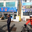 설도항 티스토리