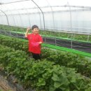 다윈태권도 이미지