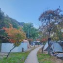 닷돈재 | 월악산 닷돈재야영장 B구역 국립공원 야영장 가을 캠핑후기 충북 오토캠핑장 추천