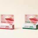 동대문보건약국 이미지