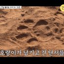 럭키스팟 이미지