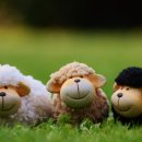 도움목장 이미지