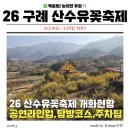 반곡회관 | (실시간) 3월 2일 구례 산수유꽃축제 개화현황! 초대가수 손태진 라인업·주차·셔틀 총정리