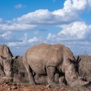 폭스노래연습장 이미지