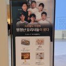 무쇠팔 | 스타필드 수원 흑백요리사 팝업 : 무쇠팔 소바쥬, 드레스덴 후기