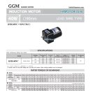 K9IG40ND 40W Single Phase 240V 50Hz Induction Motor 이미지