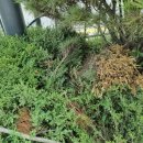 반곡동_반곡동 복합커뮤니티센터 앞 이미지