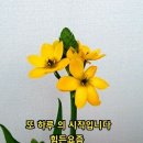 멋진하루 이미지