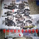평강주유소 이미지
