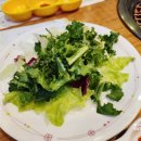 시드니램1901 이미지