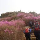 행복의 동산 이미지