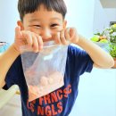 친환경 수제 비누 만들기 | 싯딤나무 아이 방학 체험 추천 친환경 천연 수제 비누 만들기 키트 맛집